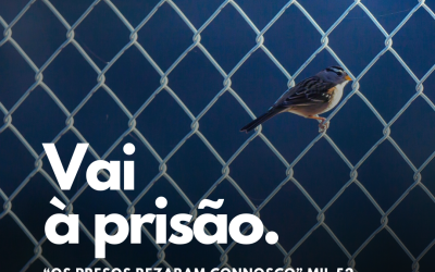 IGNIS vai à prisão